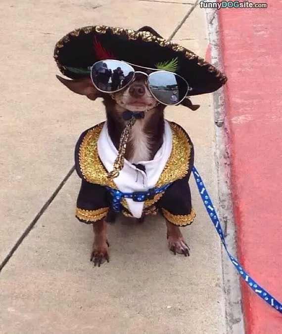 Fiesta