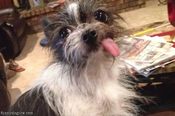 Can I Have A Bath Now