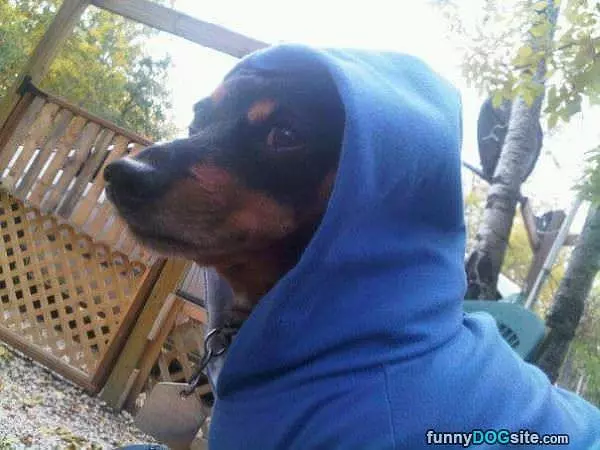 Hood Up