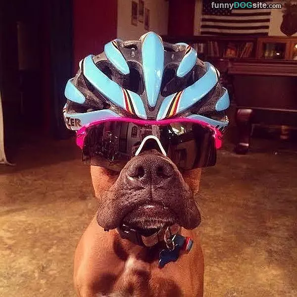 Lets Ride