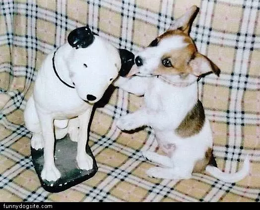 Small Dog With Dog Statue