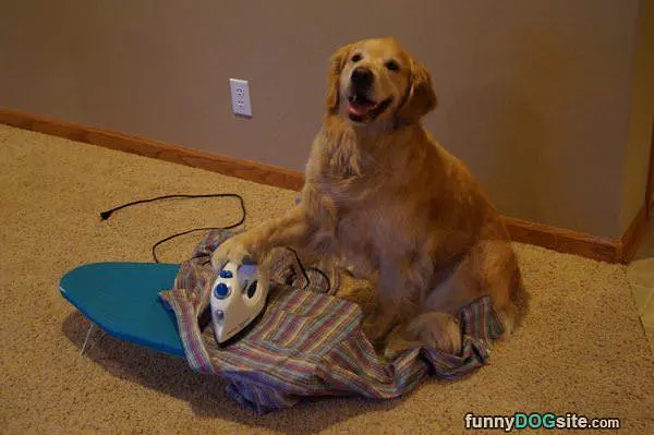 Ironing The Shirt