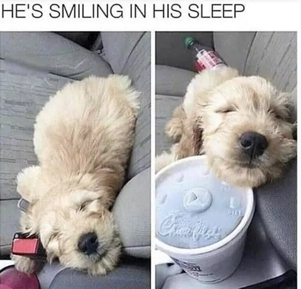 Smiling In His Sleep