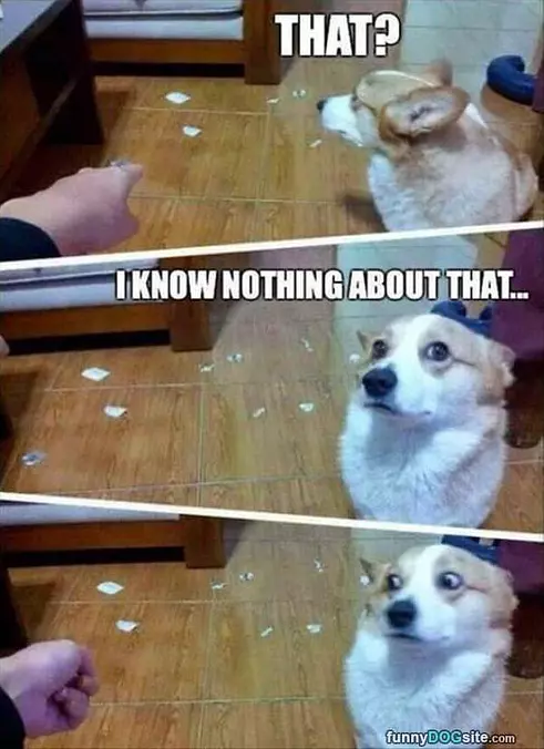 What You Mean That