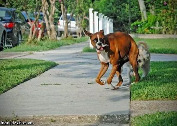 Ahhh No Bites