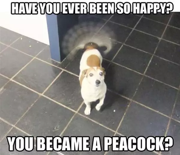 So Happy