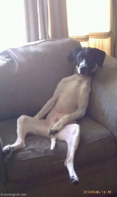 Just Chillin