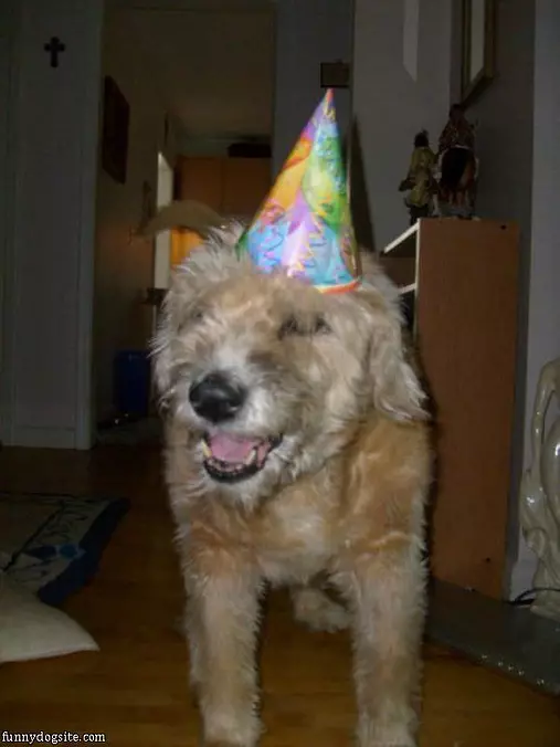 Its Mah Birthday
