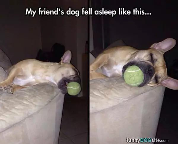 Fell Asleep Like This Guy