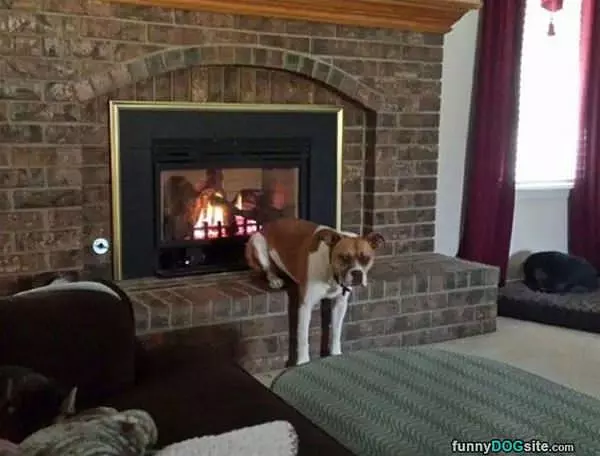 Warming Up My Butt