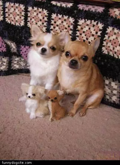 Happy Family