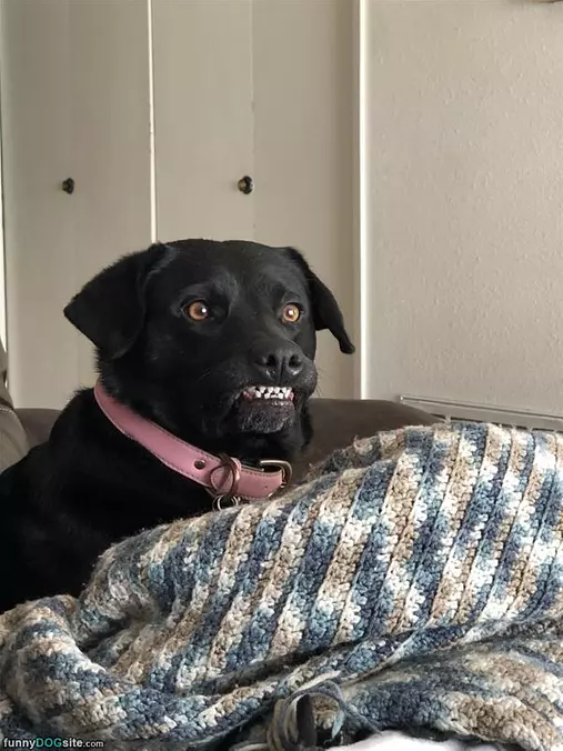 My Big Smile