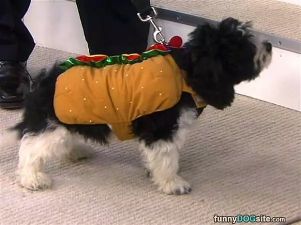 Nice Hot Dog Bun