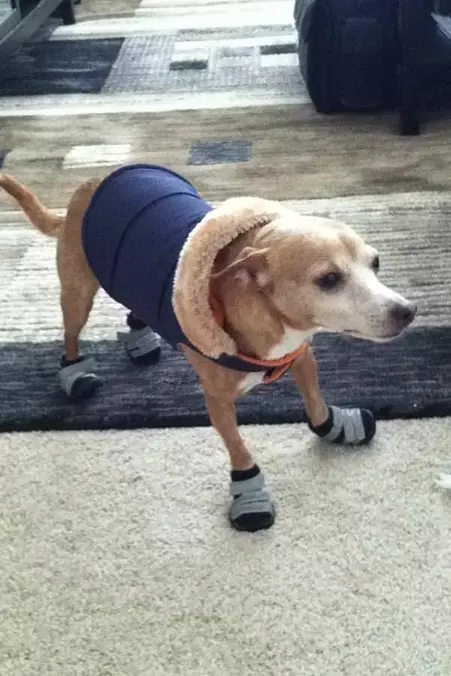 Ready For Winter