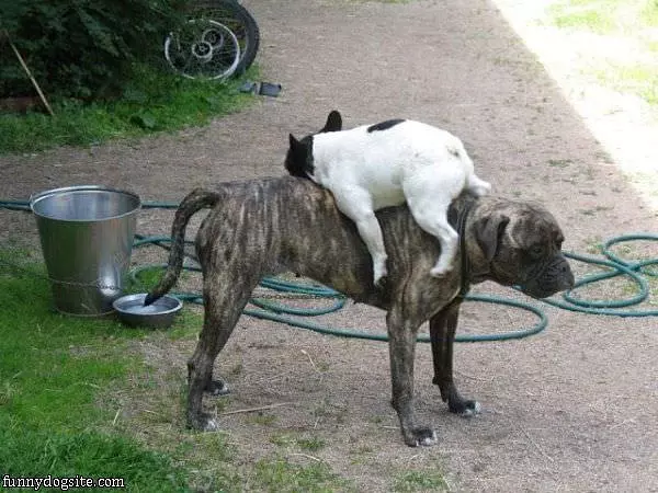 Please Dont Leave Me
