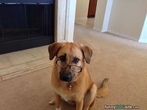 My Glasses
