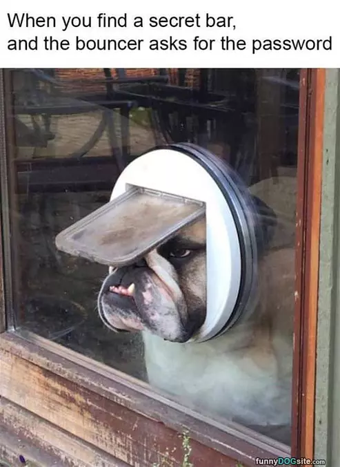 What Is The Password