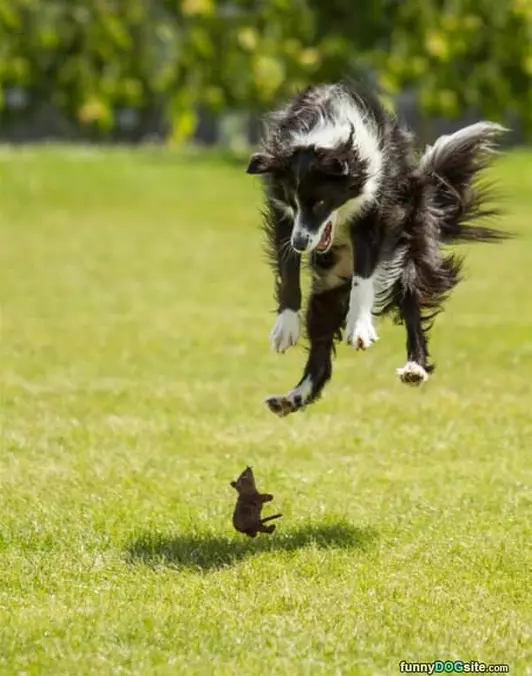 Jump Around