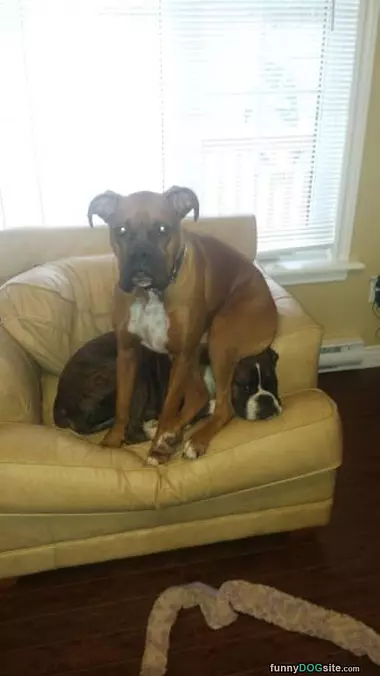 Where I Sits