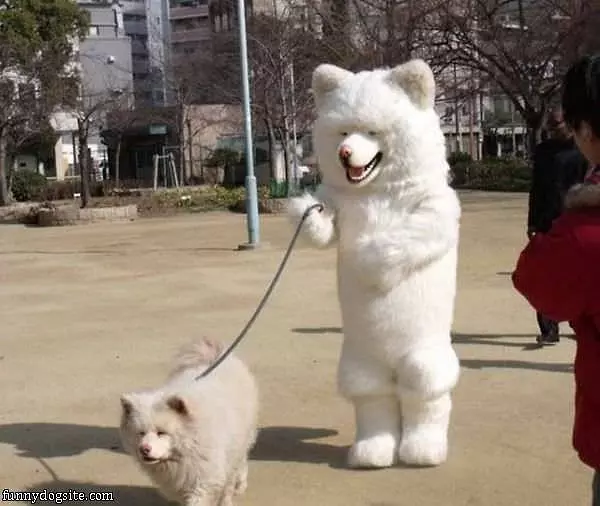 Dog Walking The Dog