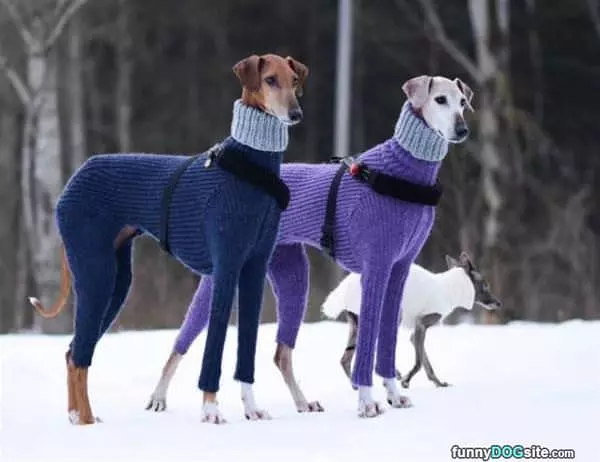 We Love Our Sweaters