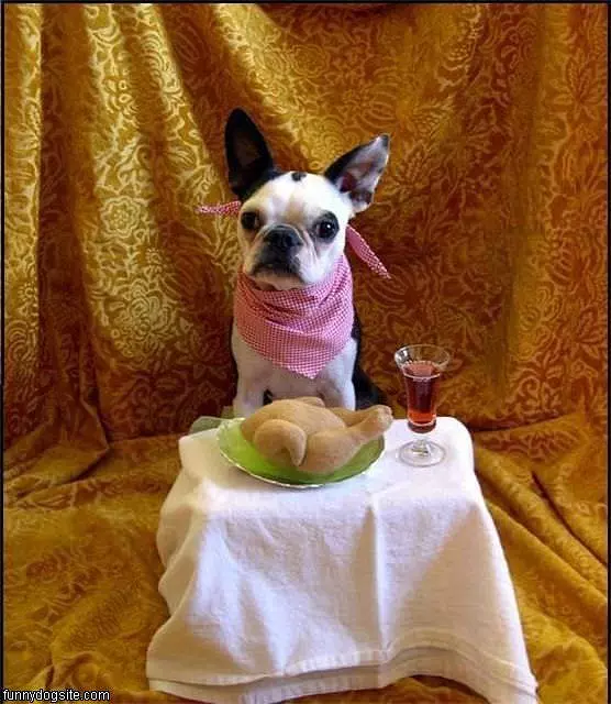 Its Time For Dinner
