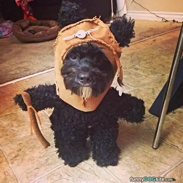 All Costumed Up