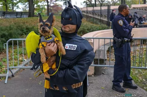 Bat Dog