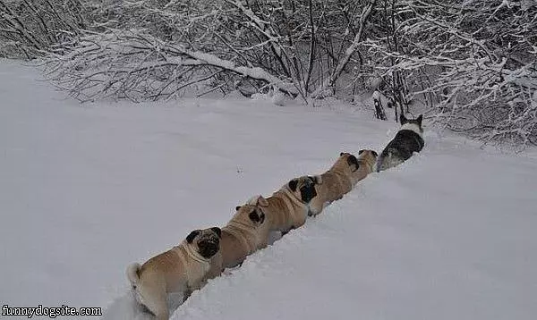Make Us A Path