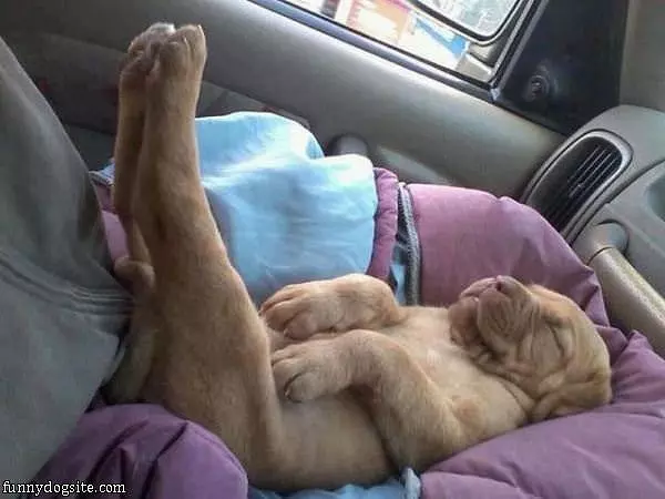 Relax How I Want