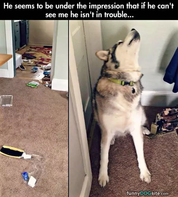 Cant See Me