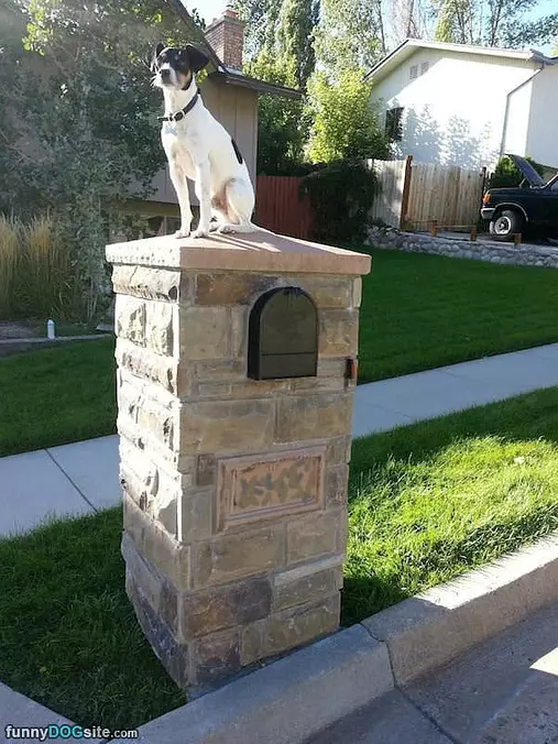 King Of My Castle