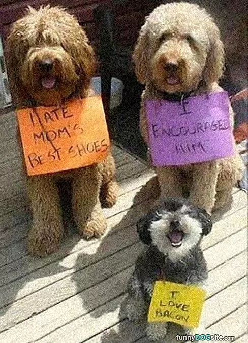 All Guilty