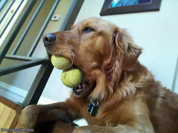 Double Fetched It