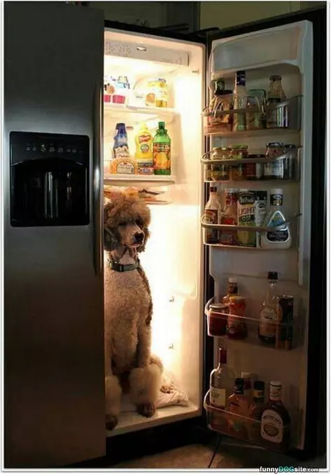 Cooling Down