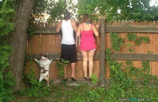 Can I See