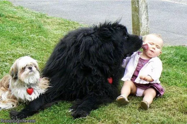 Big Cute Kiss