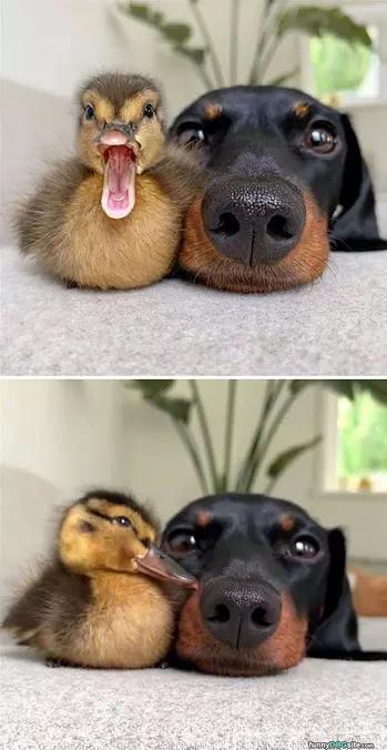 Me And My Buddy