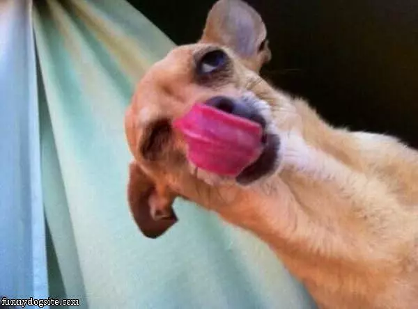 Weird Lick