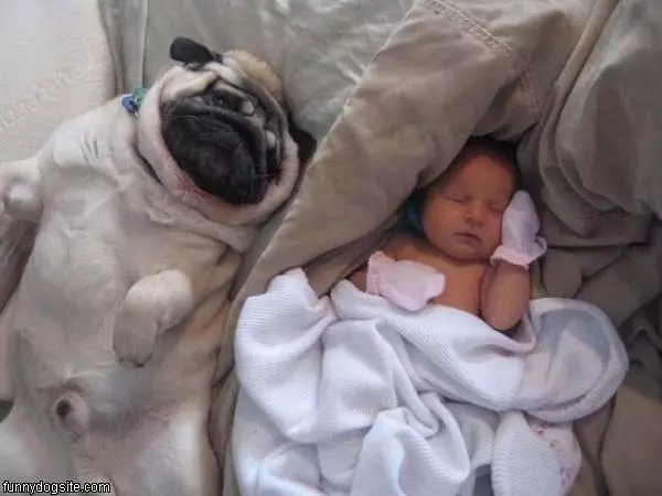 Asleep With The Baby