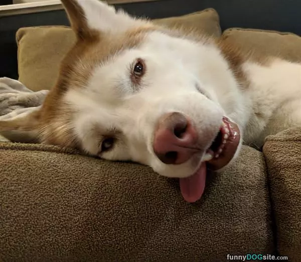 Super Sleepy