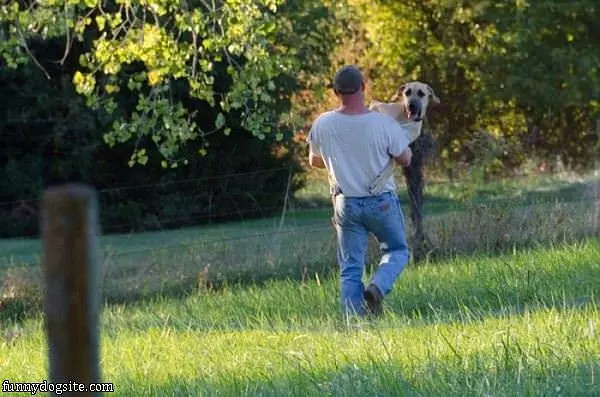 Put Me Down