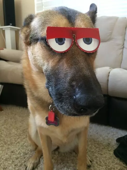 What Big Eyes You Have
