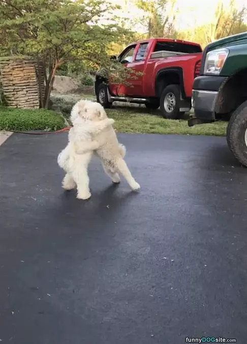 Such Nice Hugs