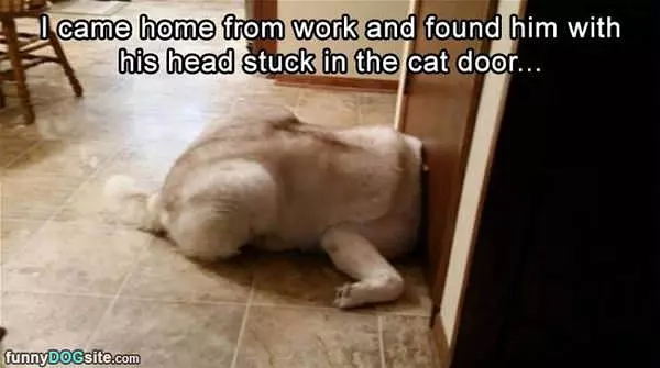 Head Stuck In The Door