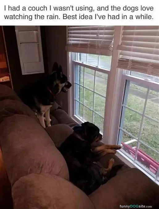 Looking Out