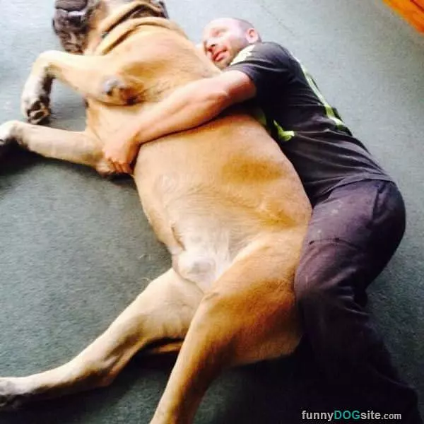 Slightly Big Dog