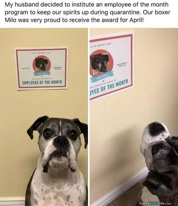 Employee Of The Month