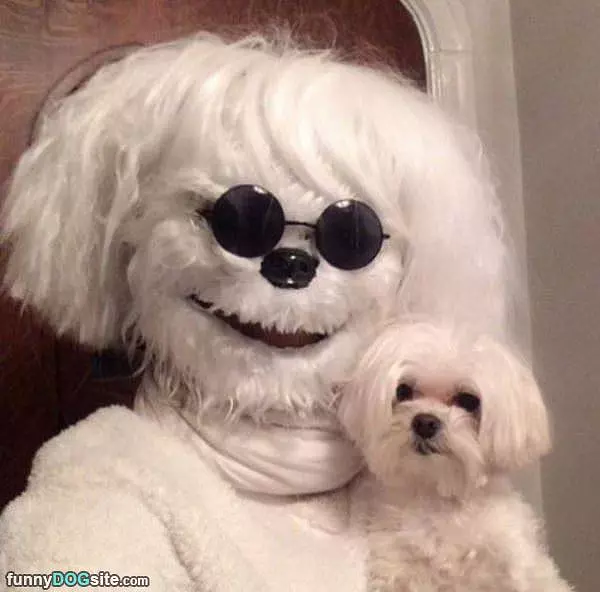 Me And My Buddy