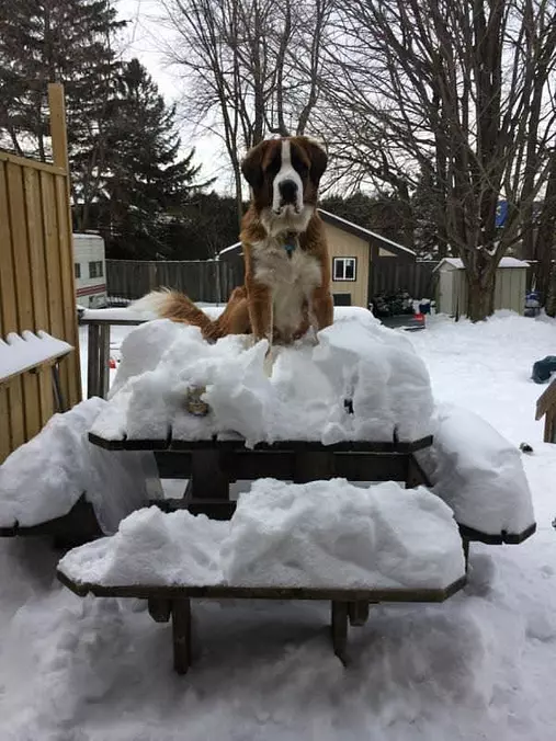 Enjoying The Winter